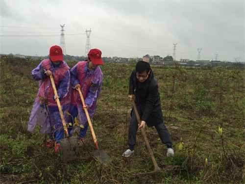 【党建】党员活动日：植树活动