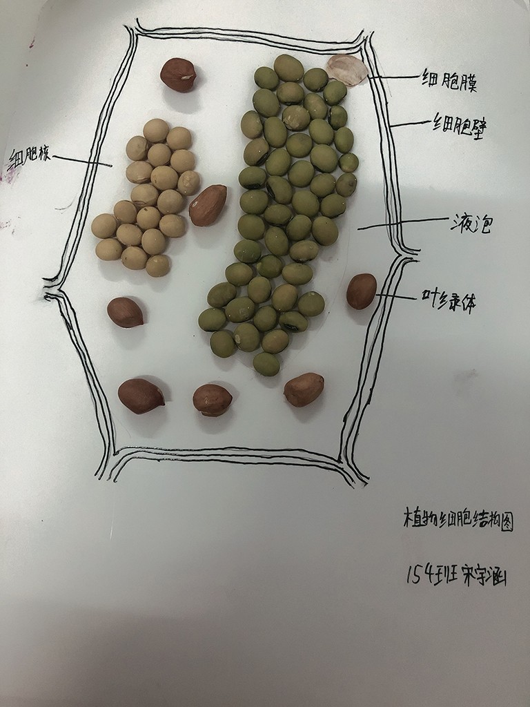 第十一届校园科技节